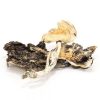 Buy Brazilian Cubensis Online