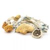 Buy Blue Meanies Mushrooms