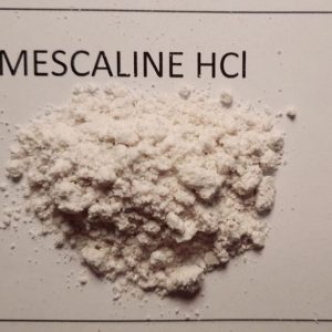 9 gram Pure Mescaline Powder