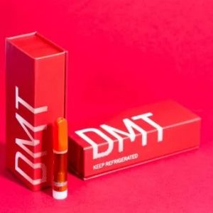 Buy DMT Cartridge